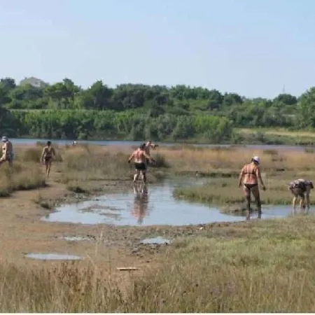 In - Zadar Riviera 8216 *