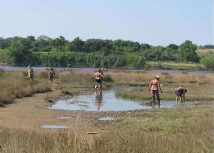 In - Zadar Riviera 8216 *