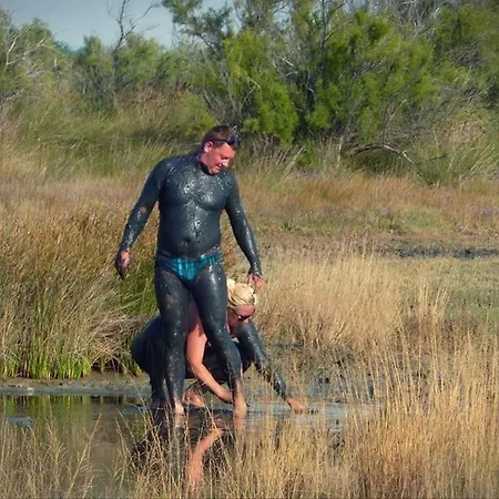 In - Zadar Riviera 8216 Διαμέρισμα Nin