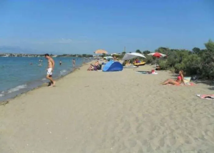 In - Zadar Riviera 8216 *