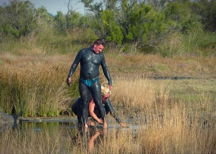 In - Zadar Riviera 8216 Apartament Nin